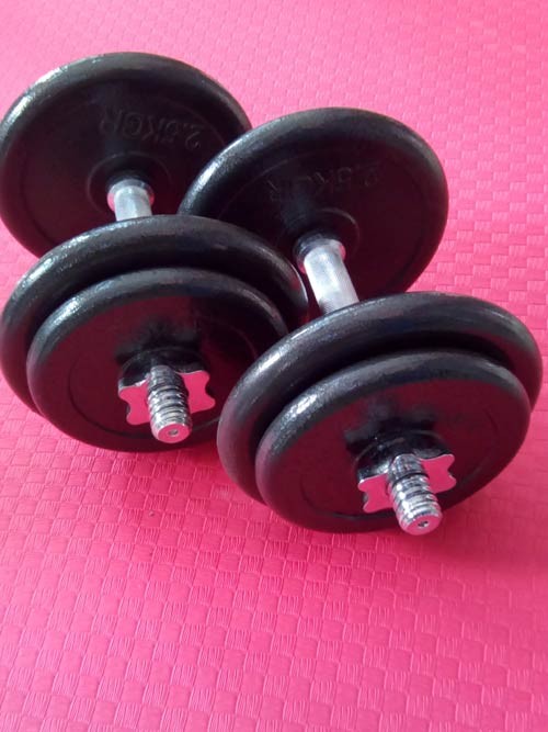 VIKING Dumbbell Set 20 kg in a suitcase (074)