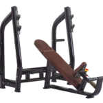 Luxury Incline Bench H-025 (VIKING)