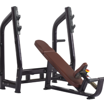 Luxury Incline Bench H-025 (VIKING) - Image 1