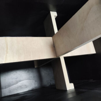 Crossfit Box Viking PB-2 - Image 2