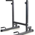 Viking DS-90 Dip Station