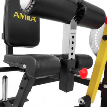 Μηχάνημα Leg Curl / Leg Extension AMILA AX1030 Photo 2 - allcare.gr
