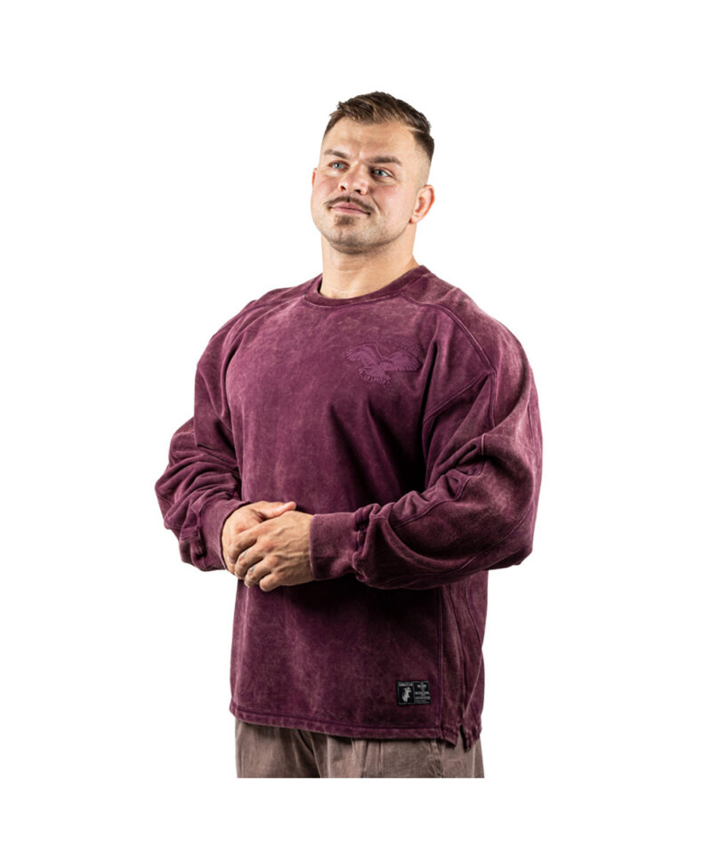 Legal Power Sweater Sweater Eagle "Stone Wash" 2477-866 Aubergine - Medium