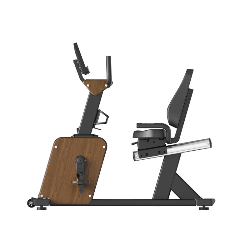 Wooden-Recumbent-bike-Venus-1st-online-ready Viking Venus